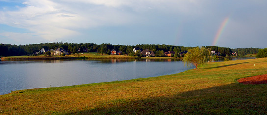 Lot view
