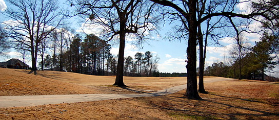 Lot view